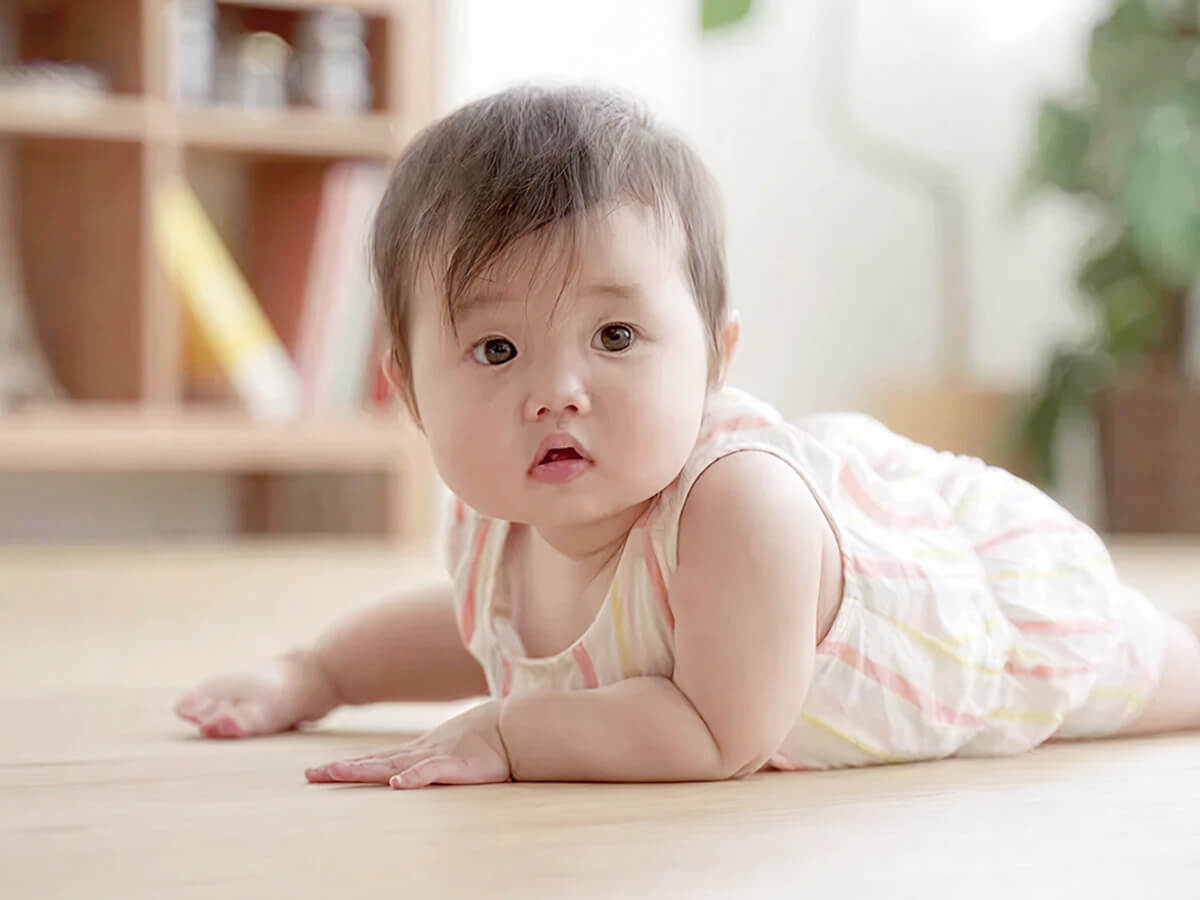 BONAサンディングシステムについて