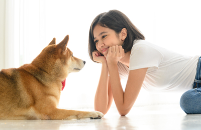 ご家族にもペットにも最適・快適