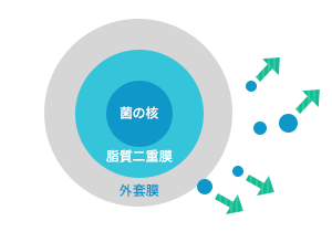 仮死状態の菌が危険信号を伝達