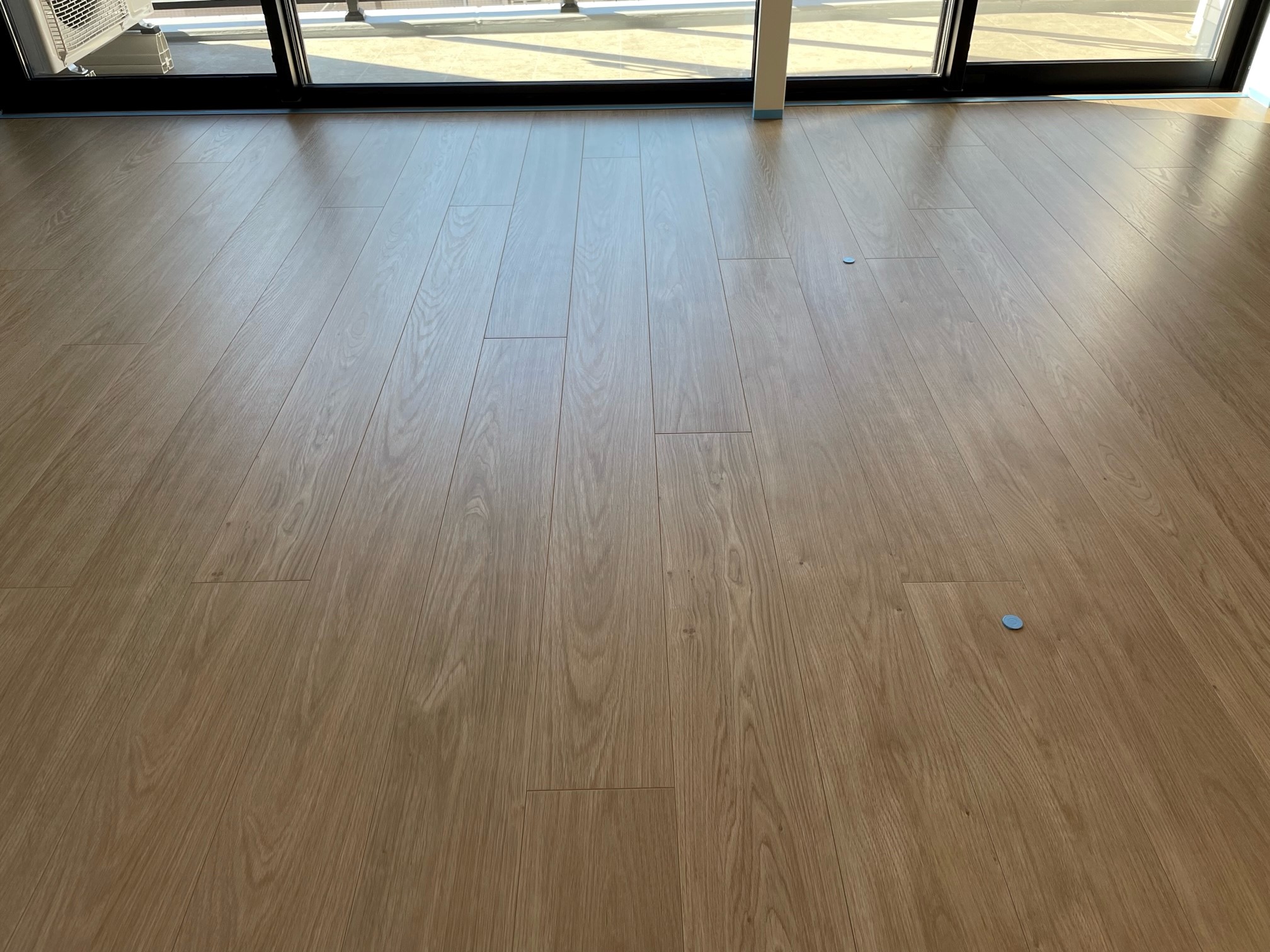 千葉県船橋市夏見　ご新築マンション　F様　ワンニャンすべらん　ペット専用防滑コーティング Before